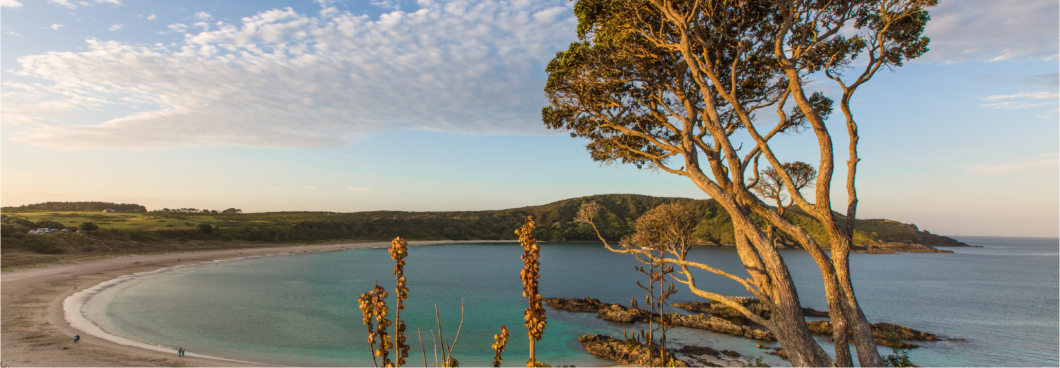 1600 x 560 NZ Scenery